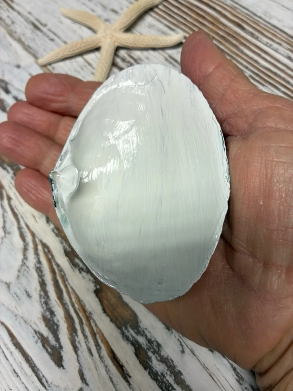 Hand Painted Seashell Fish Decor -Coastal, Nautical, Beach, Art Shell